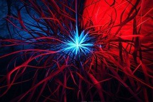 L'influence de la lumière bleue et rouge sur le cycle végétatif