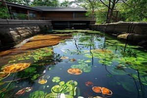 Lutter contre les algues et les pathogènes dans le réservoir