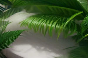 Billes d'argile Plagron vs Canna Coco : Comparatif des grandes marques de substrats