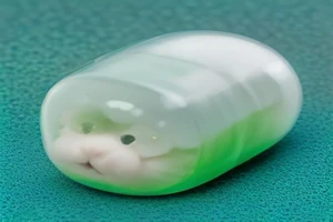 Où acheter des graines bio de micro-pousses au meilleur prix ?