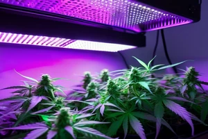 Avis et test complet sur la barre LED horticole Spider Farmer SF1000