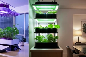 Hydroponie vs Aquaponie : Quelle méthode choisir pour son appartement ?